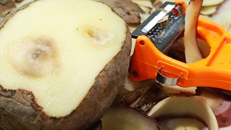 Képzelj el egy krumplit, ami sosem látja a konyhaasztal fényét. Ez a különleges gumó a föld mélyén rejtőzik, várva, hogy felfedezzék. Nem főzik meg, nem pürésítik, és nem sül meg ropogósra. Ez a mesés krumpli a fűszerek és ízek birodalmában sosem kap szer